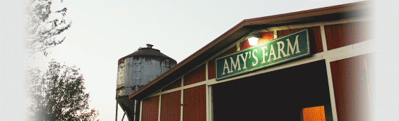 Field trip to Amy's Farm