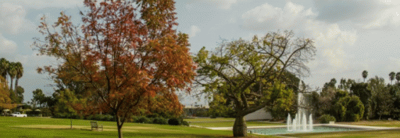 Field trip to Arboretum of Los Angeles County