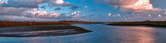 Field trip to Bolsa Chica Conservancy