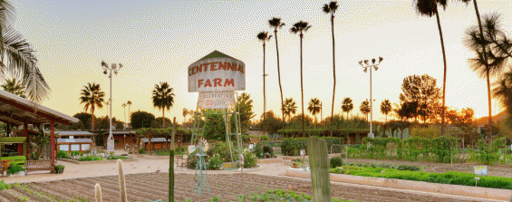 Field trip to Centennial Farm Tours and Garden Classes