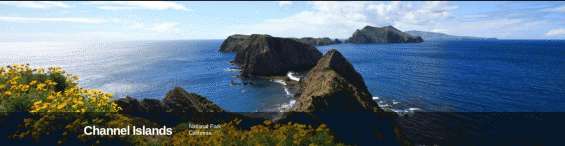 Field trip to Channel Islands National Park