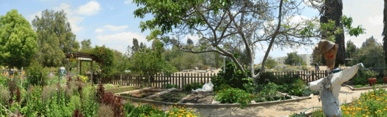 Field trip to Fullerton Arboretum