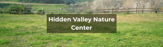 Field trip to Hidden Valley Nature Center