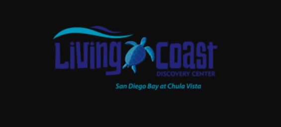 Field trip to Living Coast Discovery Center