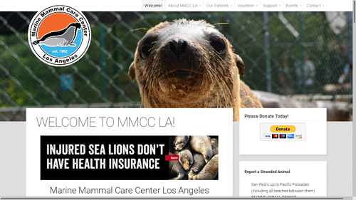 Field trip to Marine Mammal Care Center