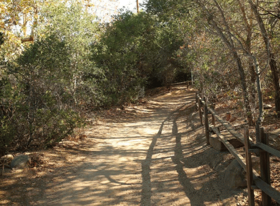 Field trip to Oak Canyon Nature Center