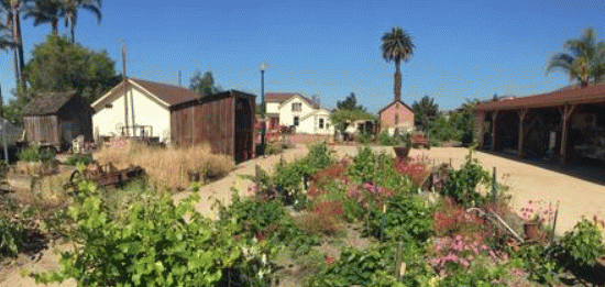 Field trip to Oxnard Historic Farm Park