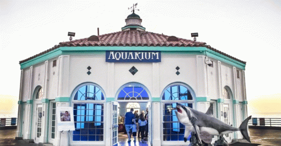 Field trip to Roundhouse Aquarium