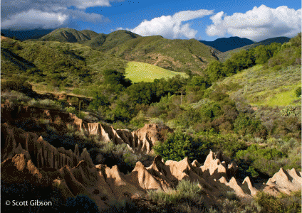 Field trip to Starr Ranch Sanctuary