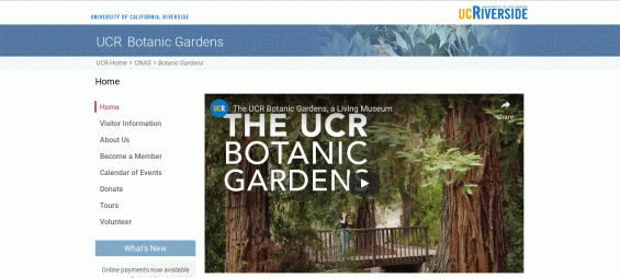 Field trip to UCR Botanical Gardens